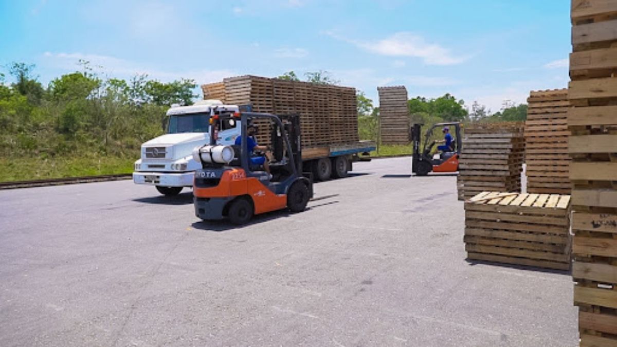 Armazéns gerais na estrutura logística